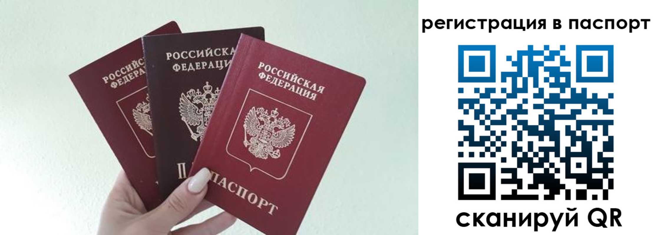 временная регистрация надежно в Орехово-Зуево